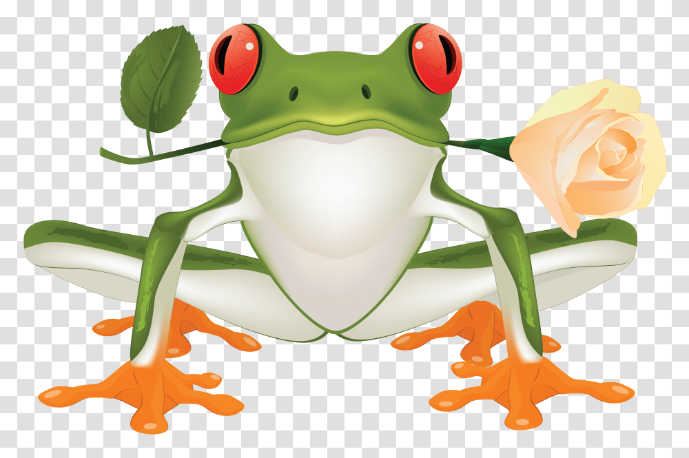 Frog, Animals, Amphibian, Wildlife, Tree Frog Transparent Png
