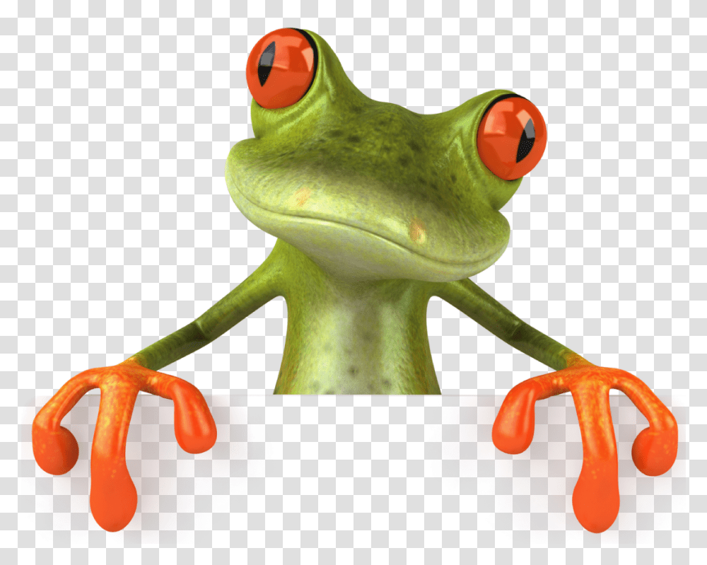 Frog, Animals, Toy, Amphibian, Wildlife Transparent Png