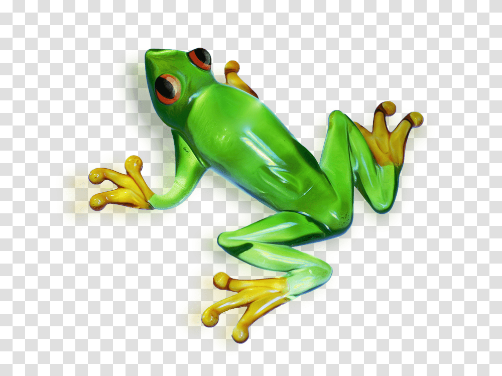 Frog, Animals, Toy, Amphibian, Wildlife Transparent Png