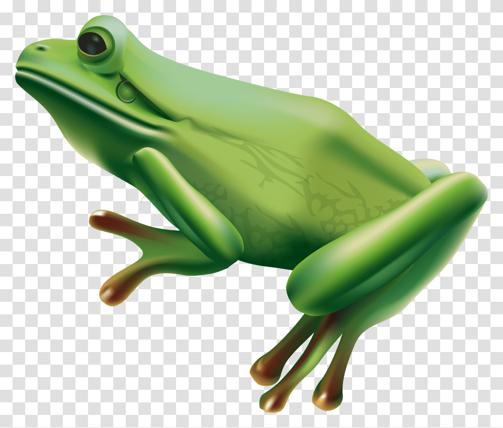 Frog Art Background Transparent Png