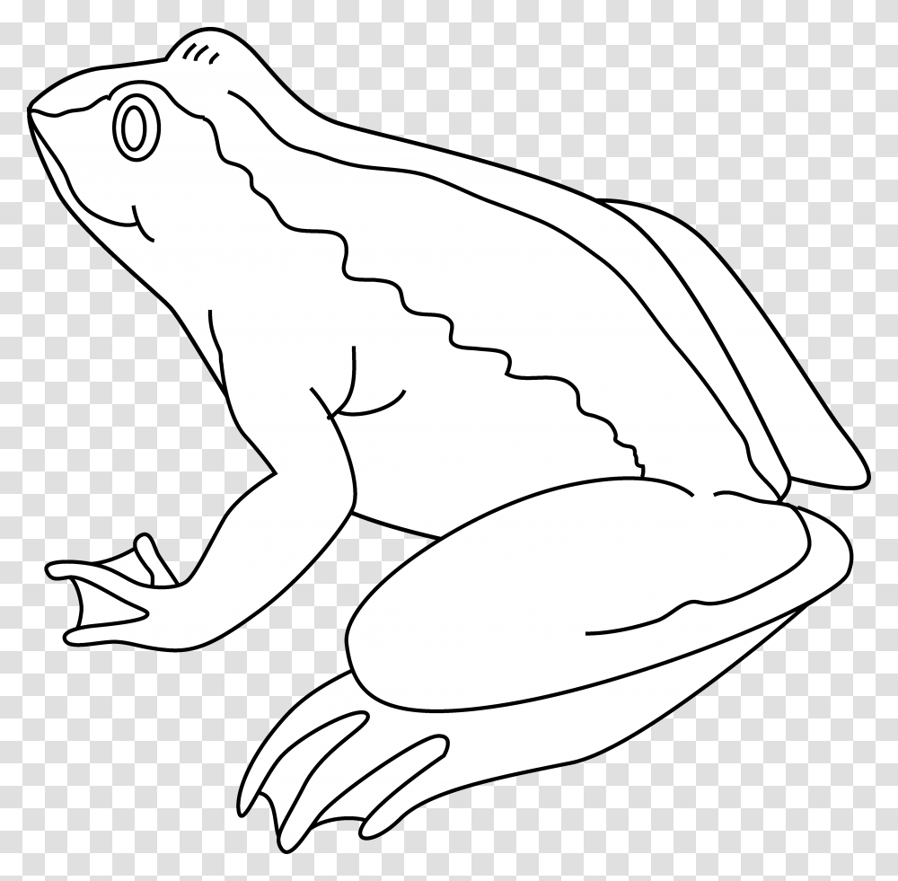 Frog Black And White Clipart 4 Frog Black And White, Animal, Reptile, Wildlife, Amphibian Transparent Png
