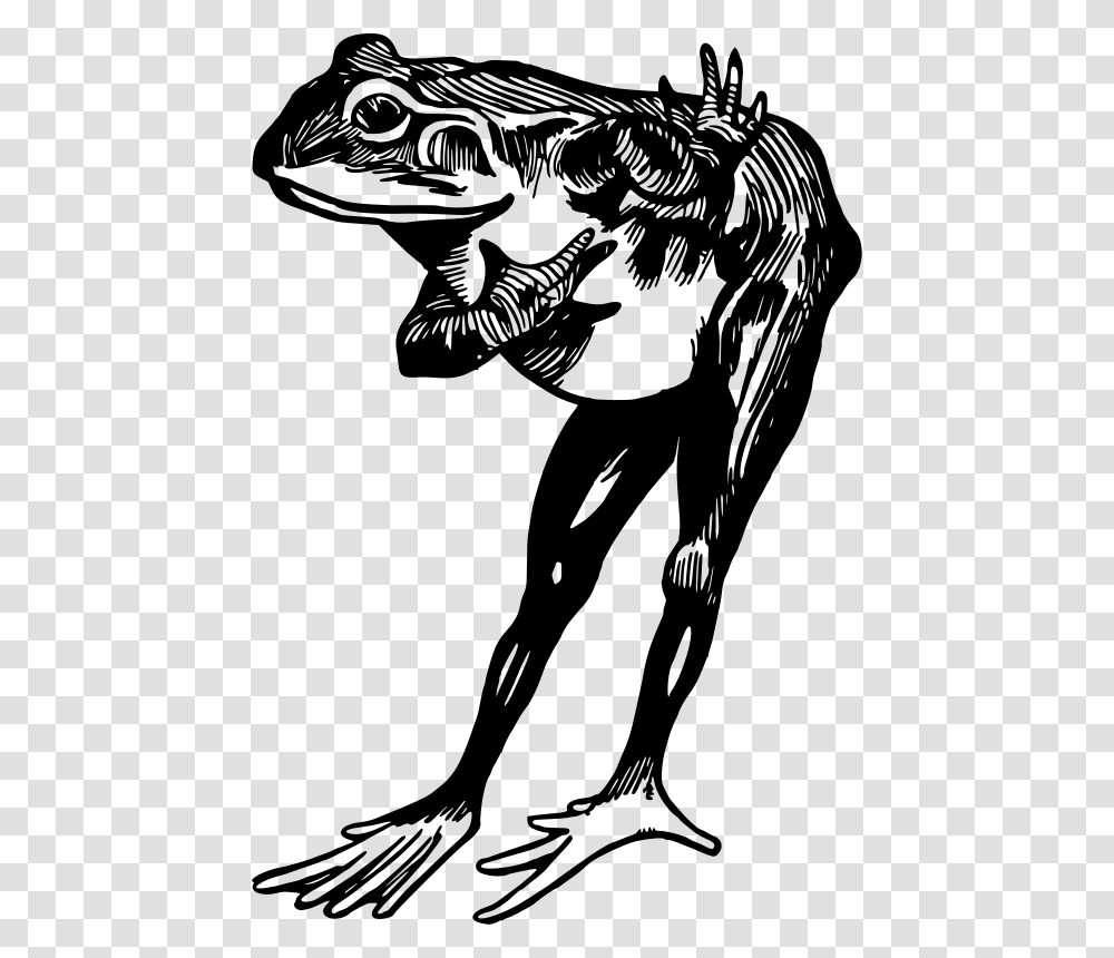 Frog Black And White, Gray, World Of Warcraft Transparent Png