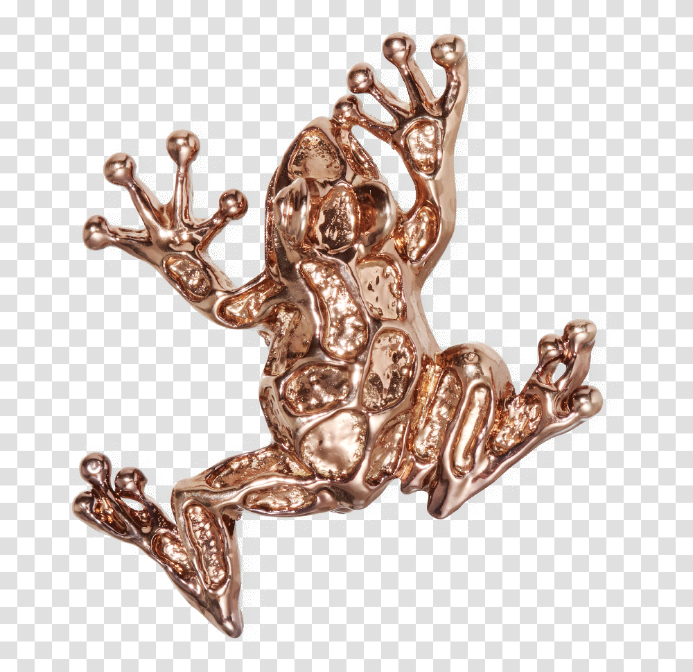 Frog Bronze Plated Brooch Fw19 Collection Pal Zileri, Figurine, Jewelry, Accessories, Accessory Transparent Png