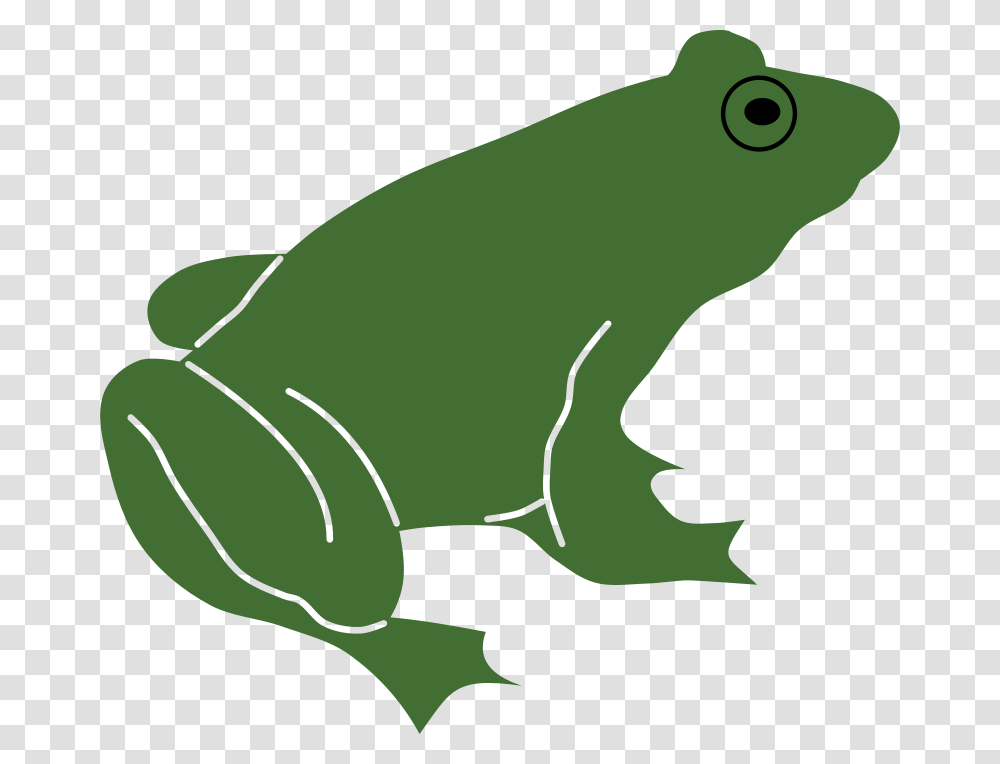 Frog By Rones, Animals, Amphibian, Wildlife, Tree Frog Transparent Png