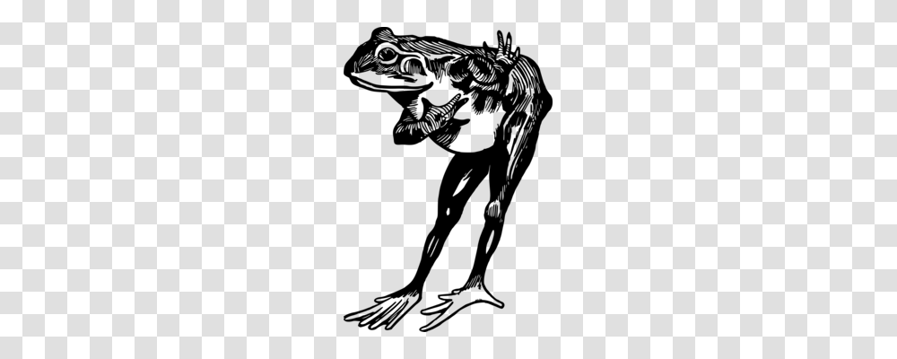 Frog Cane Toad Download Computer Icons, Gray, World Of Warcraft Transparent Png
