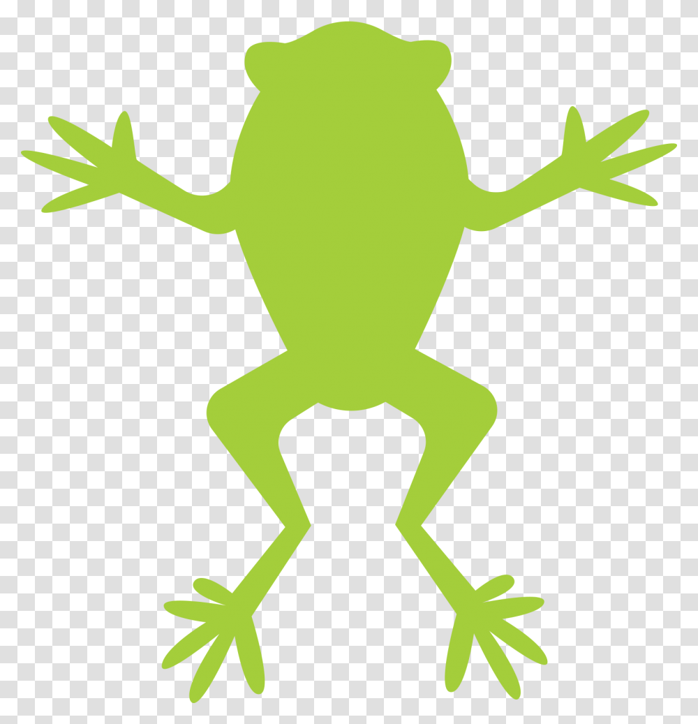 Frog Cartoon Simple Frog, Animal, Amphibian, Wildlife, Reptile Transparent Png