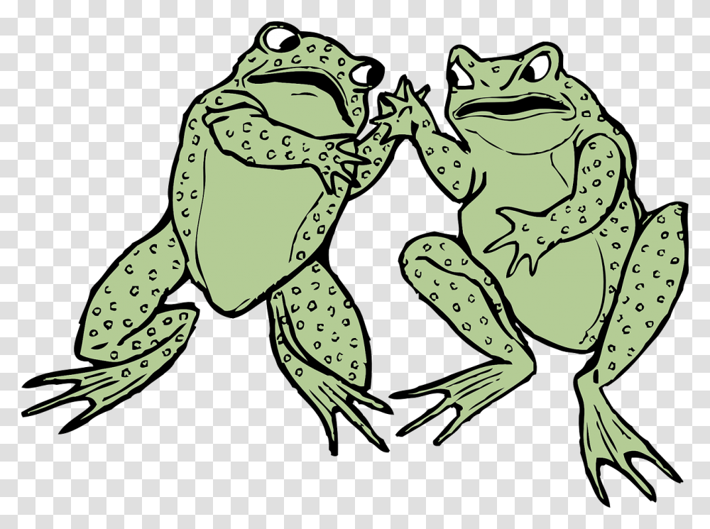 Frog Clip Art, Amphibian, Wildlife, Animal, Toad Transparent Png