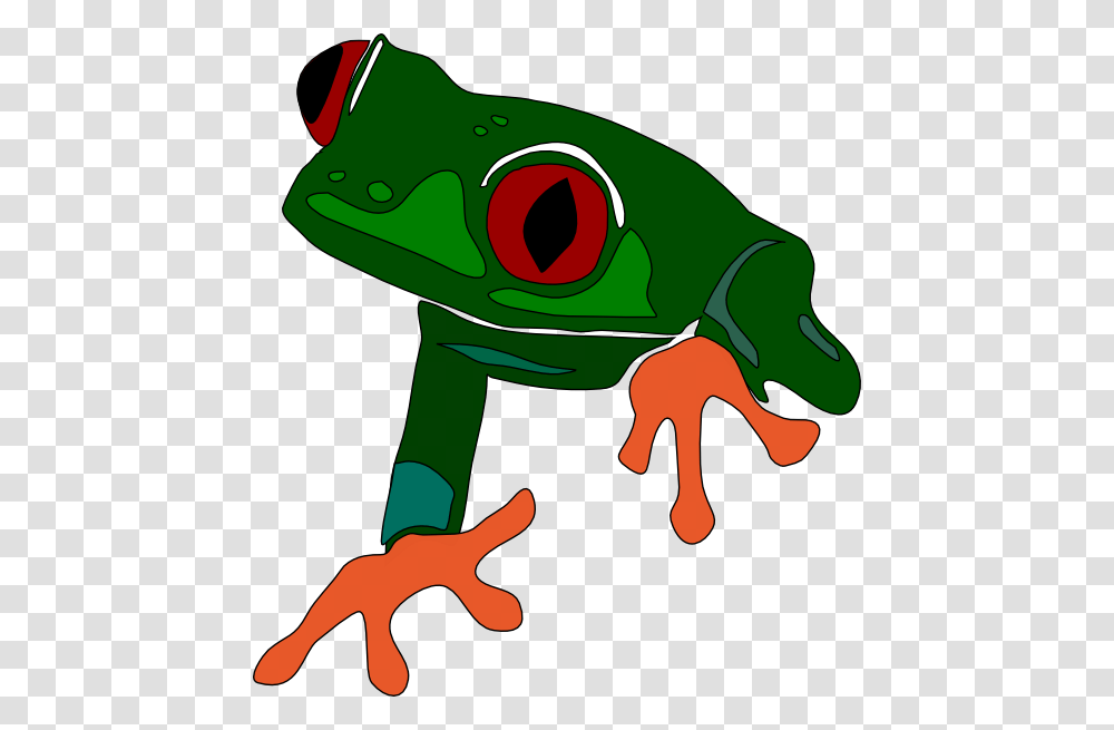 Frog Clip Art, Amphibian, Wildlife, Animal, Tree Frog Transparent Png