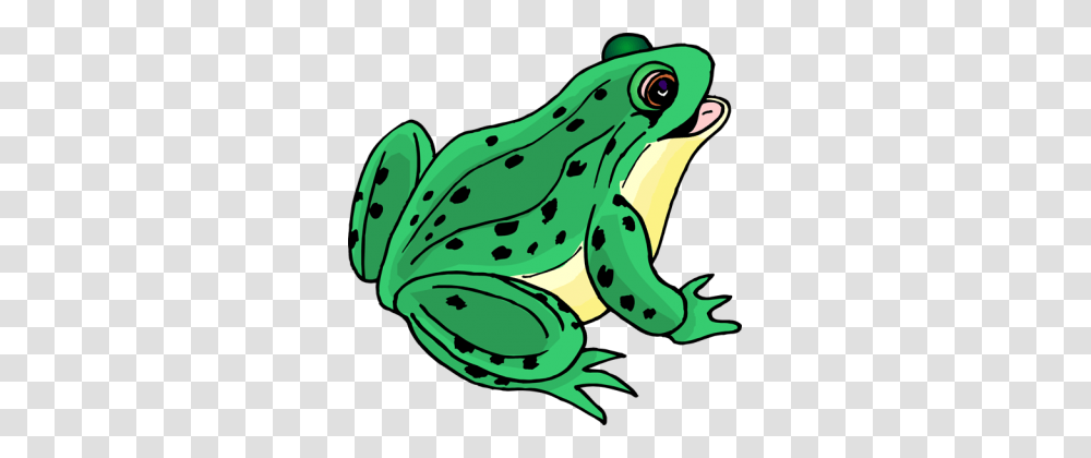 Frog Clip Art, Amphibian, Wildlife, Animal, Tree Frog Transparent Png