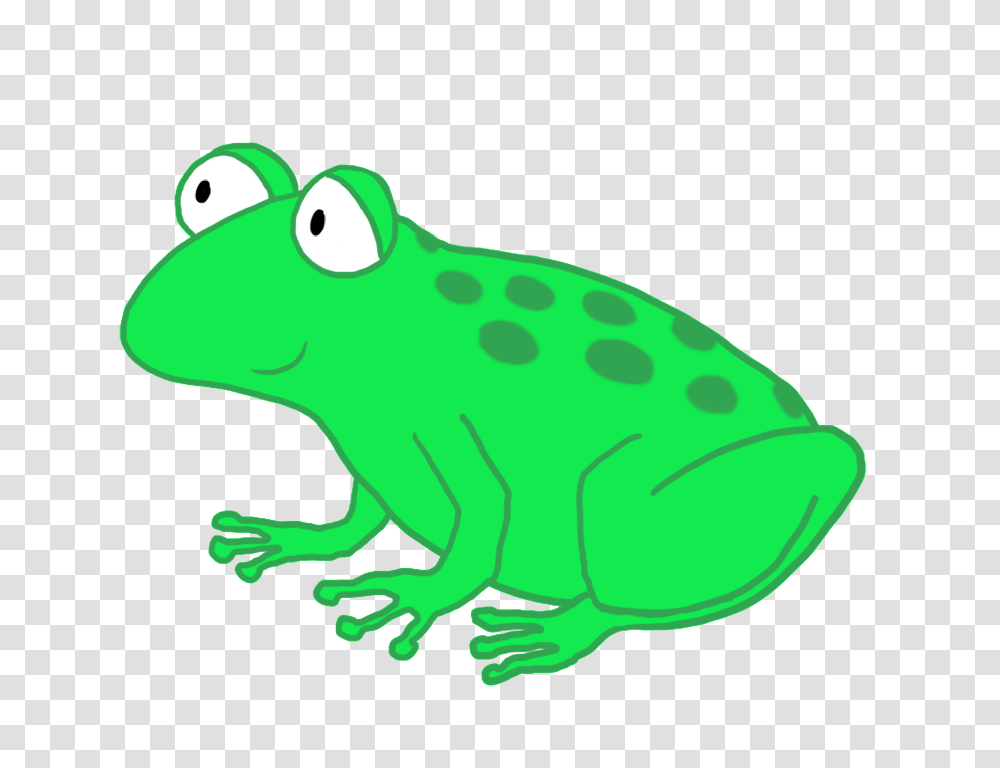 Frog Clip Art, Animal, Amphibian, Wildlife, Toad Transparent Png