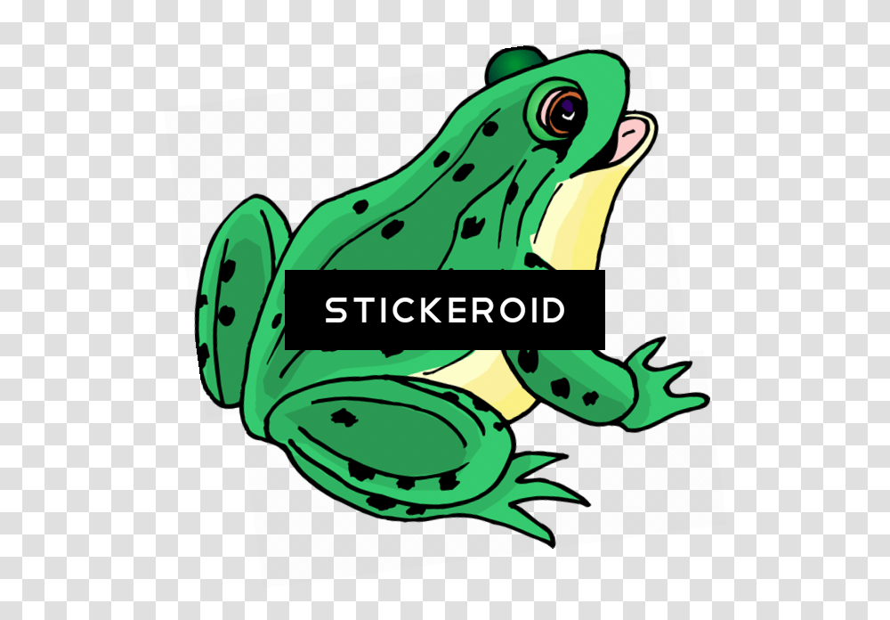 Frog Clip Art Animated Image Of Frog, Animal, Amphibian, Wildlife, Tree Frog Transparent Png