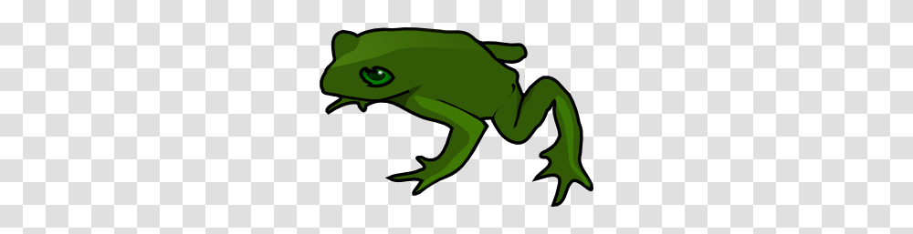 Frog Clip Art Free Vector, Amphibian, Wildlife, Animal, Tree Frog Transparent Png