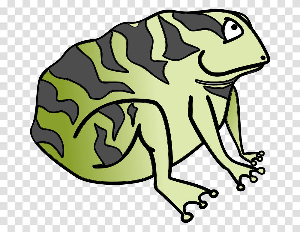 Frog Clip Art Royalty Free Animal Images Animal Clipart Org, Amphibian, Wildlife, Insect, Invertebrate Transparent Png