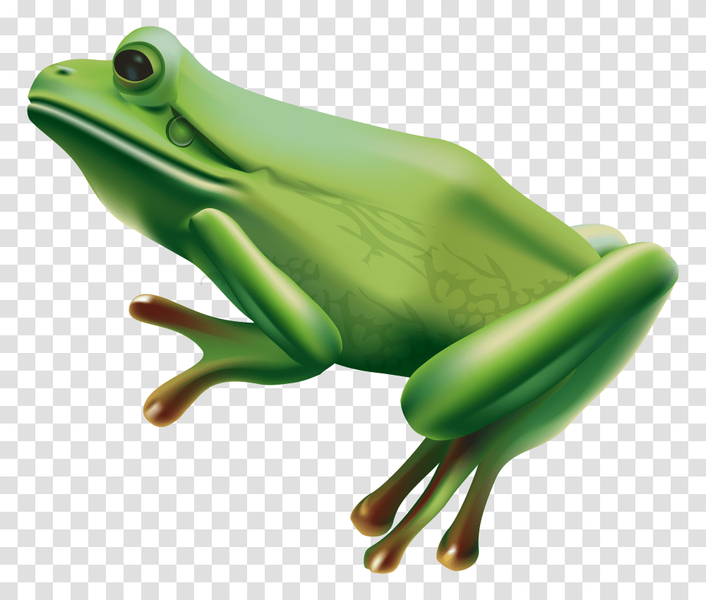 Frog Clip Art Transparent Png