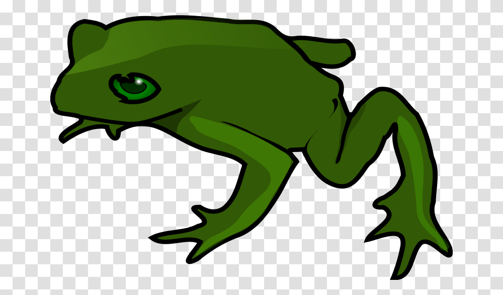 Frog Clipart, Amphibian, Wildlife, Animal, Tree Frog Transparent Png