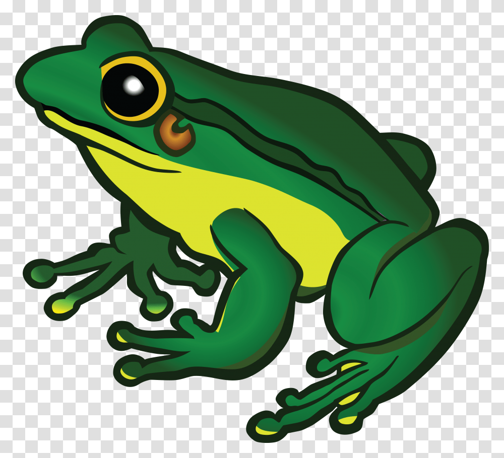 Frog Clipart, Amphibian, Wildlife, Animal, Tree Frog Transparent Png