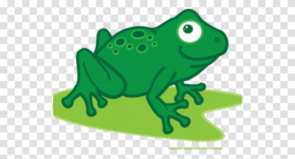Frog Clipart Clip Art, Amphibian, Wildlife, Animal, Tree Frog Transparent Png