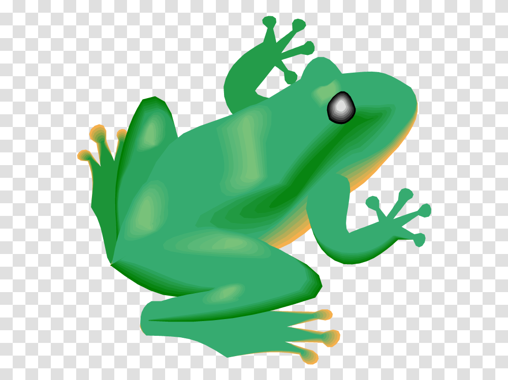 Frog Clipart Diving Rainforest Frog Clipart, Toy, Amphibian, Wildlife, Animal Transparent Png