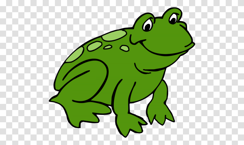 Frog Clipart Nice Clip Art, Animal, Amphibian, Wildlife, Reptile Transparent Png