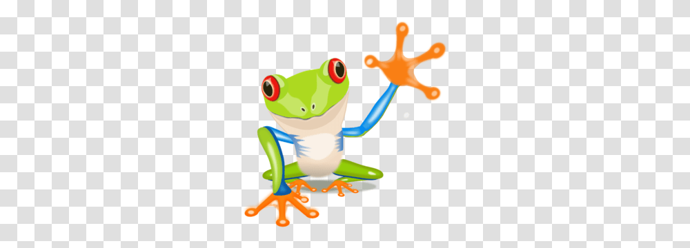 Frog Clipart, Toy, Amphibian, Wildlife, Animal Transparent Png