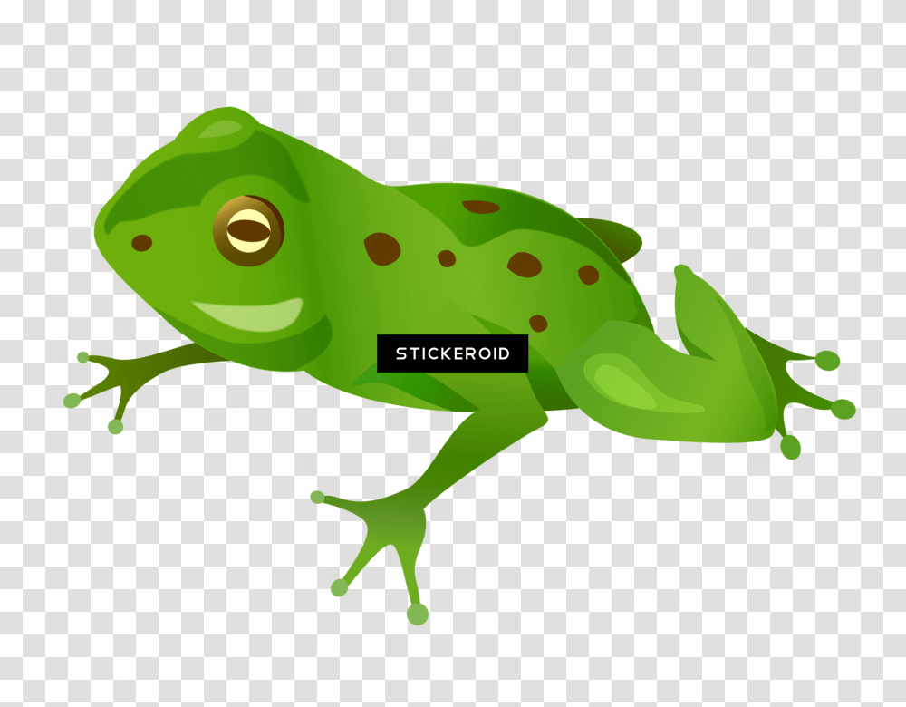 Frog Download, Reptile, Animal, Green Lizard, Iguana Transparent Png