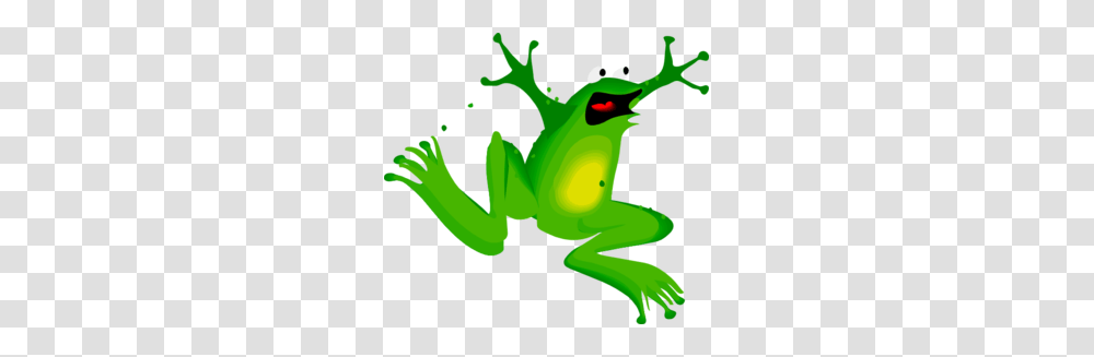 Frog Eryn Clip Art, Amphibian, Wildlife, Animal, Tree Frog Transparent Png