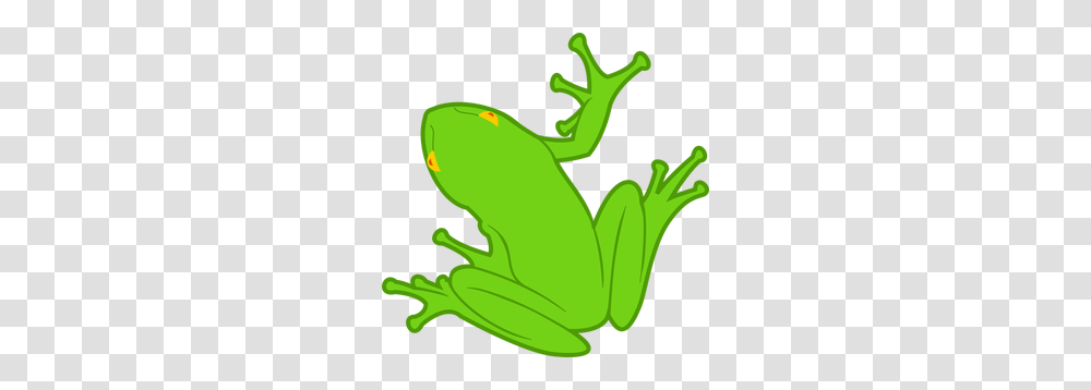 Frog Free Clipart, Amphibian, Wildlife, Animal, Tree Frog Transparent Png