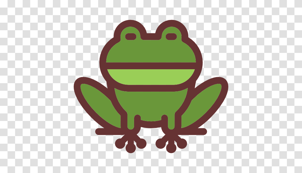 Frog Free Download Arts, Amphibian, Wildlife, Animal, Tree Frog Transparent Png