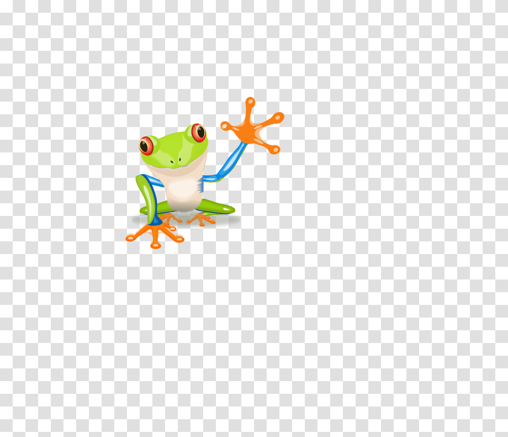 Frog Free Stock Clipart, Amphibian, Wildlife, Animal, Tree Frog Transparent Png