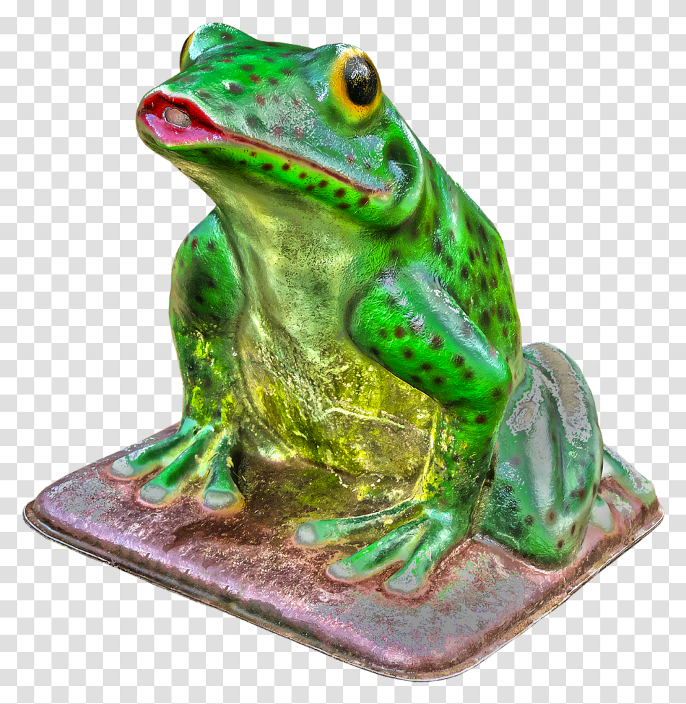 Frog Green Figure Free Picture Green Eyed Tree Frog, Amphibian, Wildlife, Animal, Lizard Transparent Png