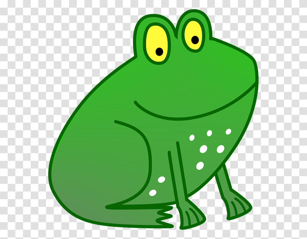 Frog Images For Kids Group With Items, Amphibian, Wildlife, Animal, Tree Frog Transparent Png