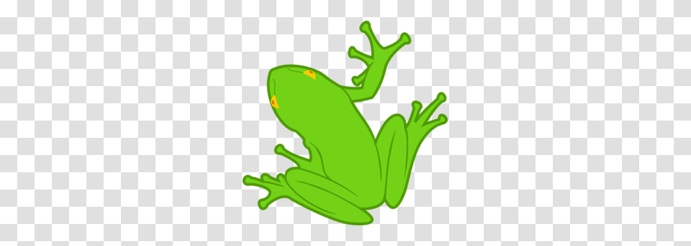 Frog Images Icon Cliparts, Amphibian, Wildlife, Animal, Tree Frog Transparent Png