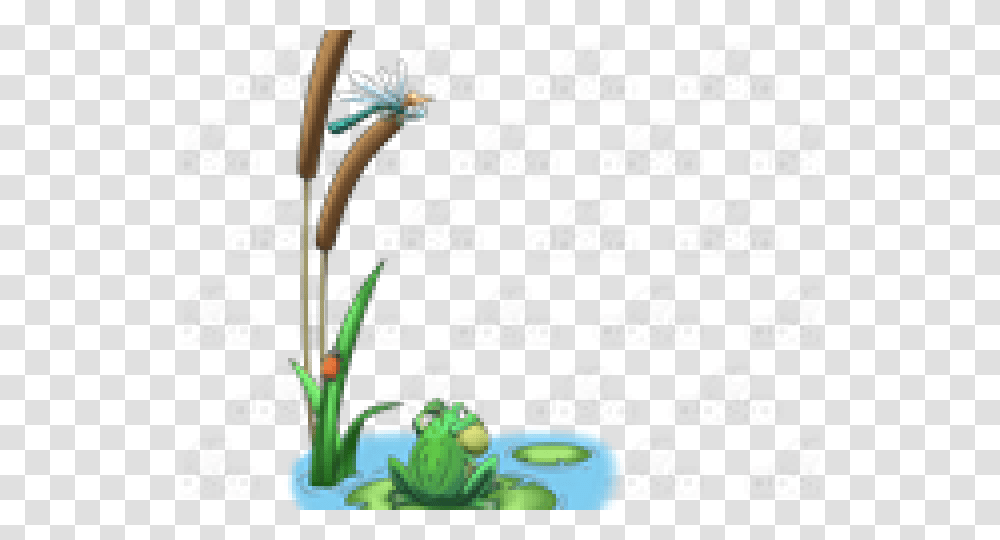 Frog In Pond Clipart Toad, Plant, Flower, Blossom Transparent Png
