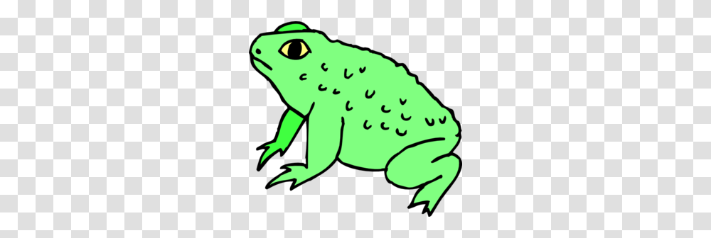 Frog Legs Clipart Bigking Keywords And Pictures, Amphibian, Wildlife, Animal, Tree Frog Transparent Png