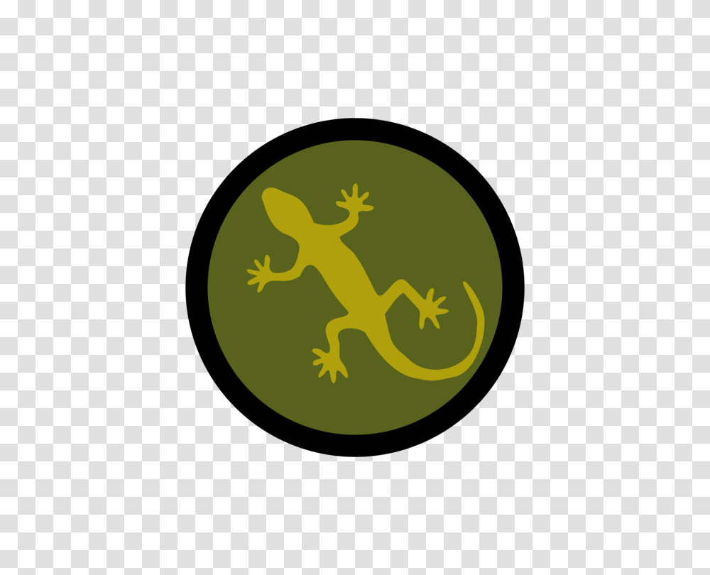 Frog Lizard Reptile Common Iguanas Footprint, Gecko, Animal, Moon, Outer Space Transparent Png