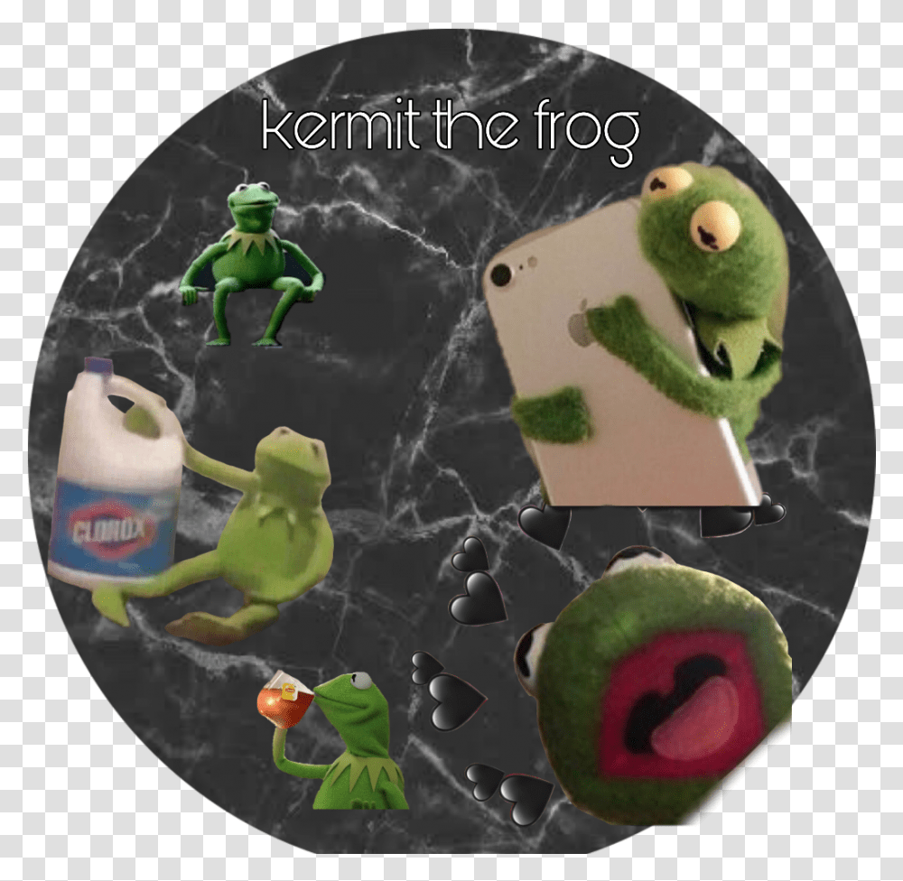 Frog, Nature, Outdoors, Toy, Land Transparent Png