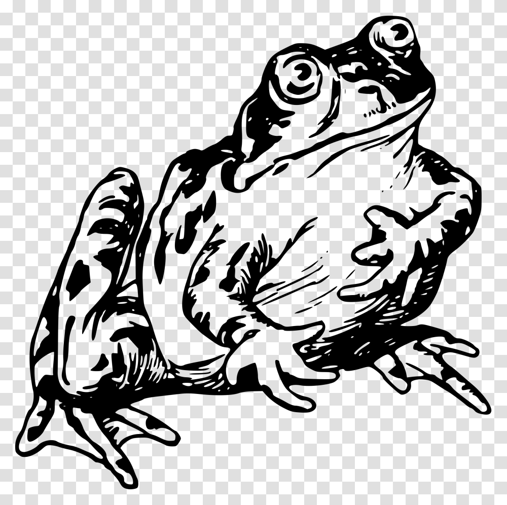 Frog On Lily Pad Clipart Realistic Frog Clipart Black And White, Gray, World Of Warcraft Transparent Png