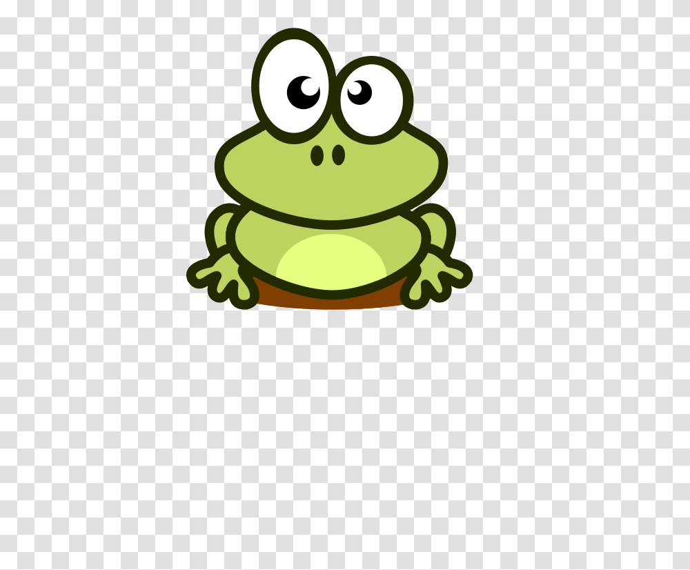 Frog On Stool, Animals, Amphibian, Wildlife, Toad Transparent Png