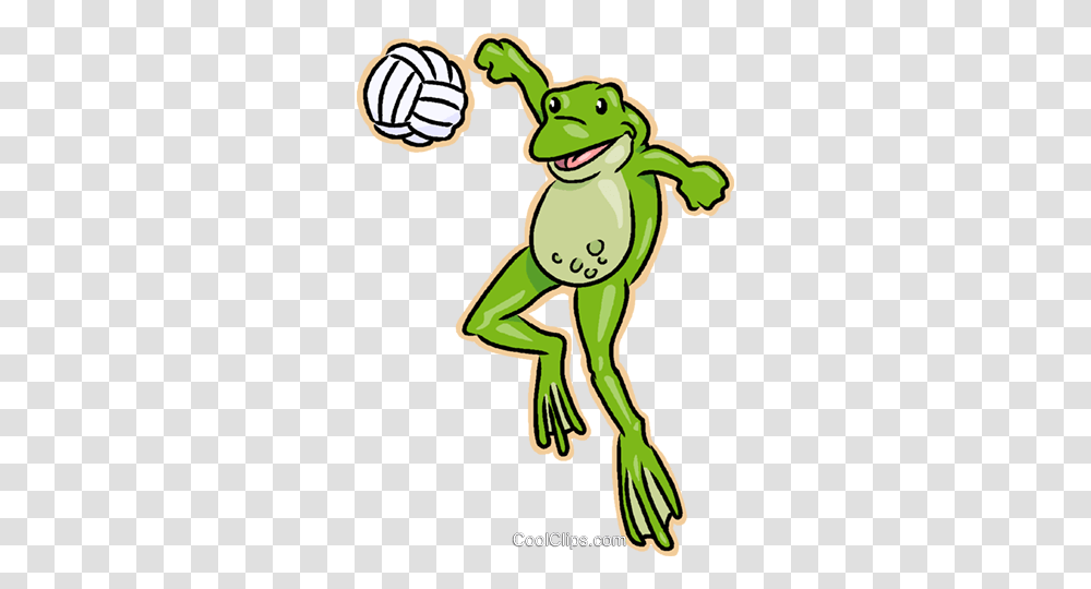 Frog Playing Volleyball Royalty Free Vector Clip Art Illustration, Amphibian, Wildlife, Animal, Tree Frog Transparent Png