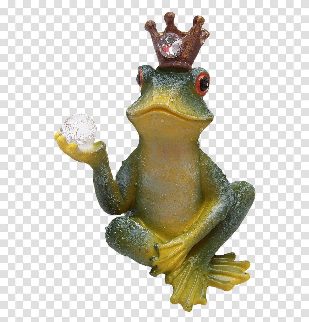 Frog Prince, Amphibian, Wildlife, Animal, Tree Frog Transparent Png