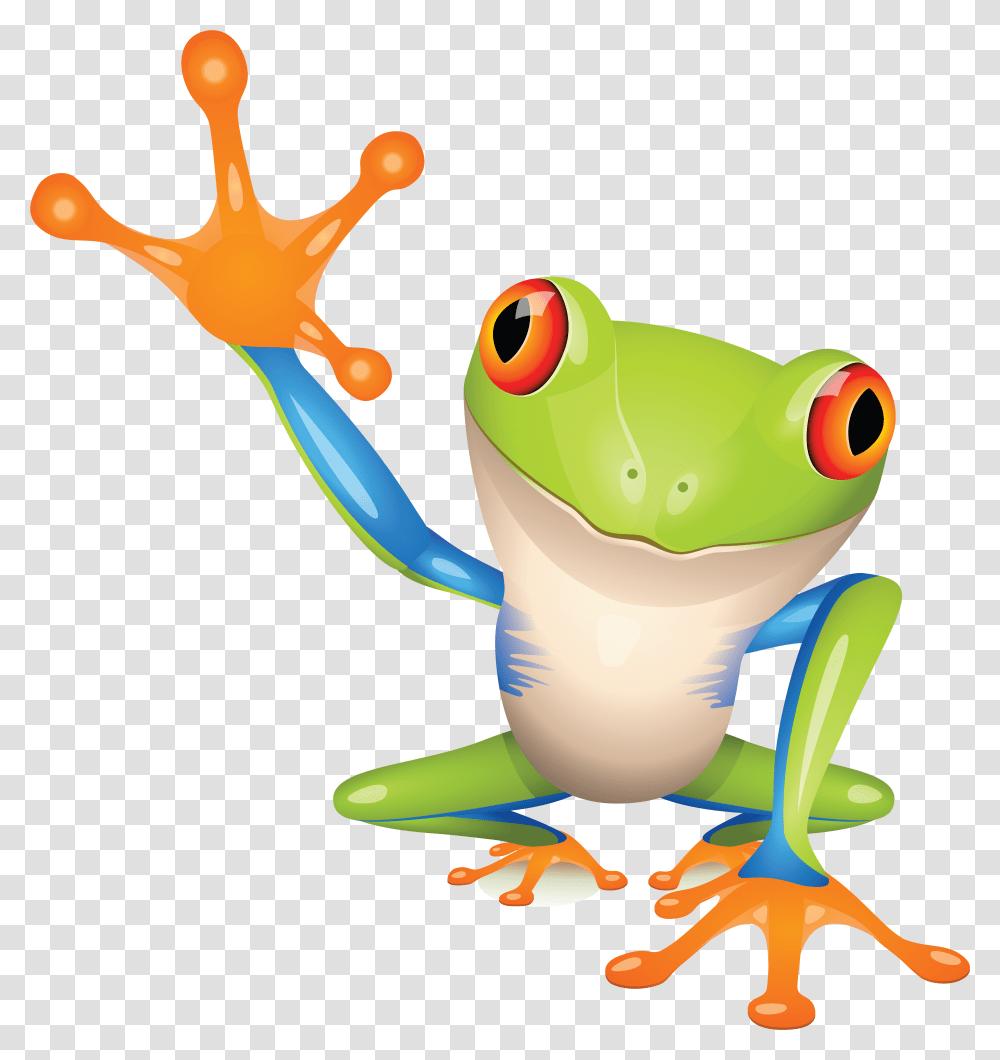 Frog Red Eyed Tree Frog Cartoon, Amphibian, Wildlife, Animal Transparent Png