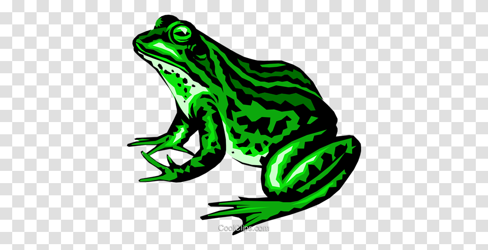 Frog Royalty Free Vector Clip Art Illustration, Amphibian, Wildlife, Animal, Tree Frog Transparent Png