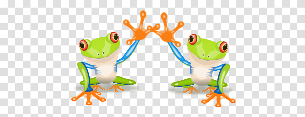 Frog Sonny 555px Clipart Costa Rica, Amphibian, Wildlife, Animal, Tree Frog Transparent Png