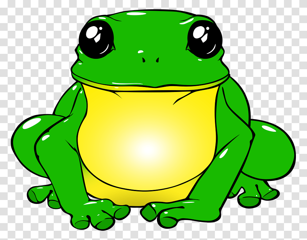 Frog Toad Green Drawing Animals Nature Water Frog With A Unicorn, Amphibian, Wildlife, Tree Frog Transparent Png