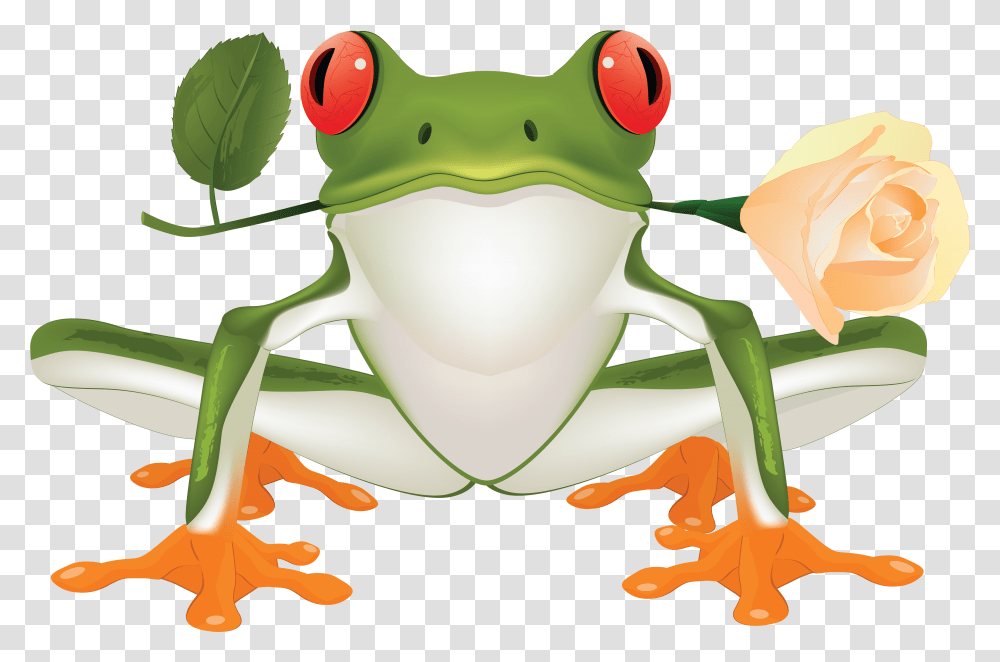 Frog Tree Frog Clip Art, Amphibian, Wildlife, Animal Transparent Png