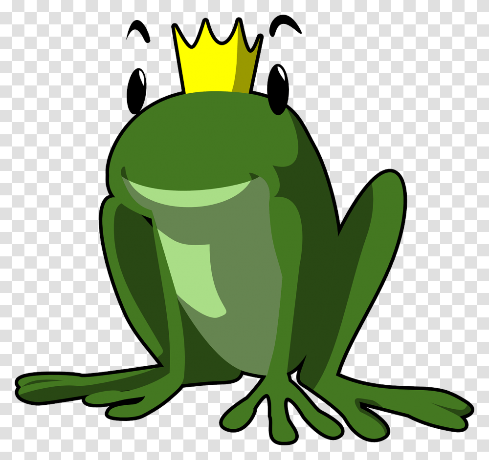 Frog With Crown Image, Amphibian, Wildlife, Animal, Tree Frog Transparent Png