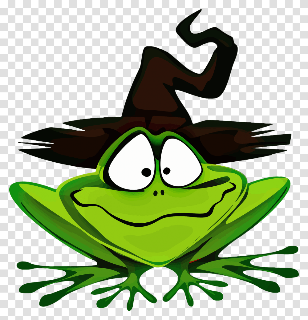 Frog With Witch Hat Image, Amphibian, Wildlife, Animal, Photography Transparent Png