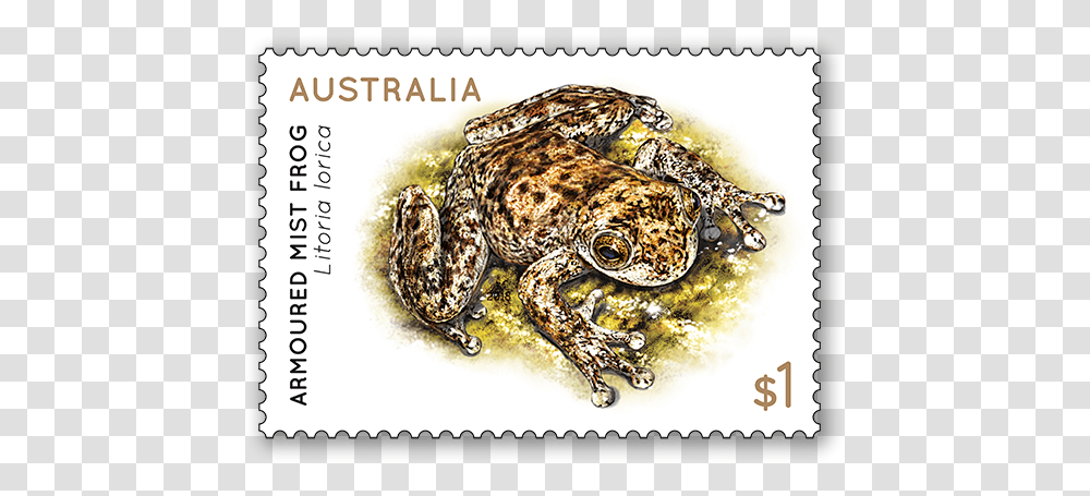 Frogs 2018 Australian Stamp Set Release Date, Lizard, Reptile, Animal, Postage Stamp Transparent Png
