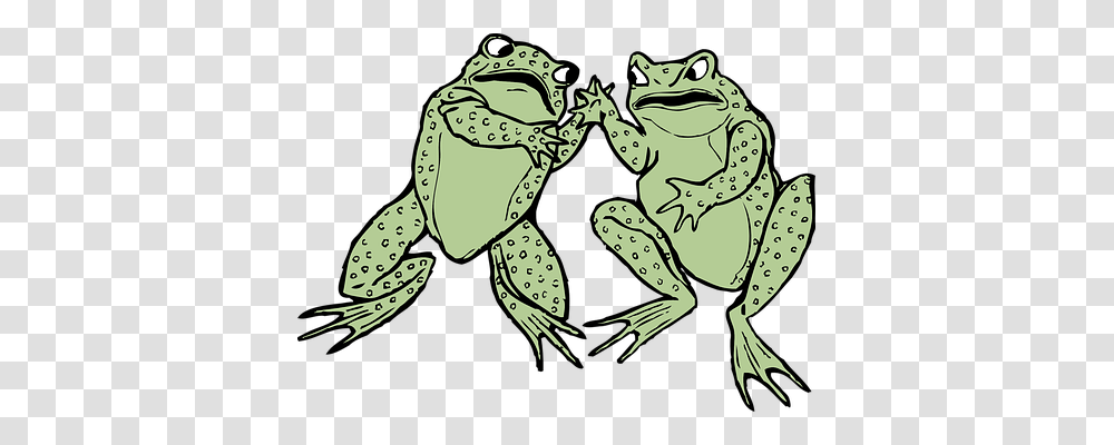 Frogs Animals, Amphibian, Wildlife, Sea Life Transparent Png