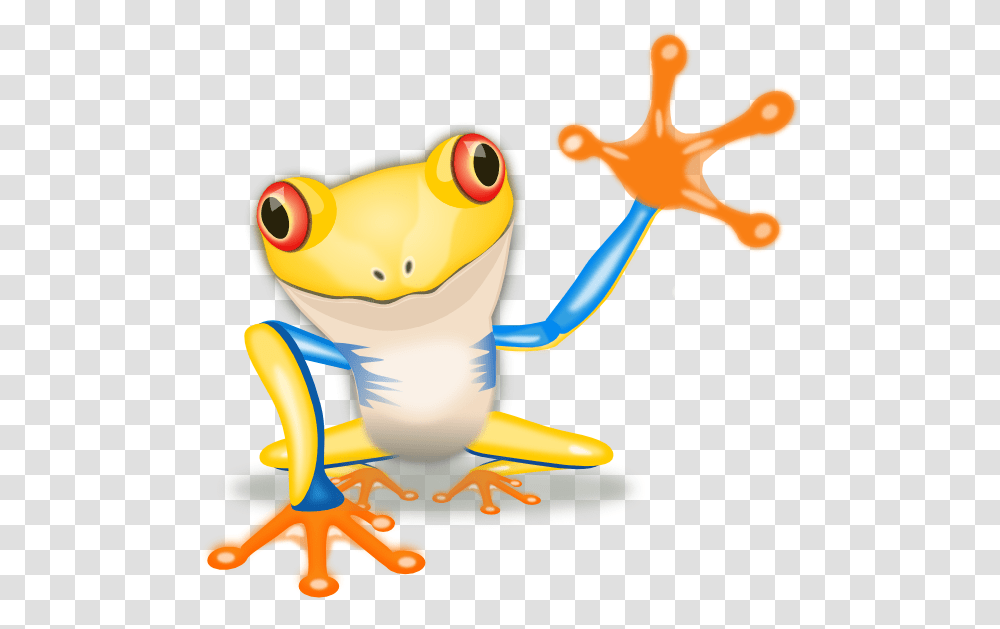Frogs Birthday, Toy, Wildlife, Animal, Amphibian Transparent Png